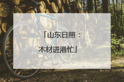 山东日照：木材进港忙