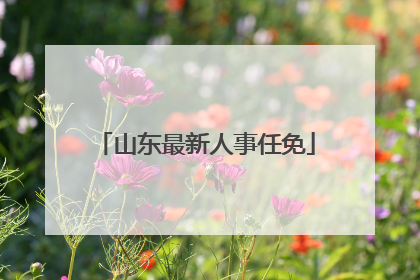 山东最新人事任免