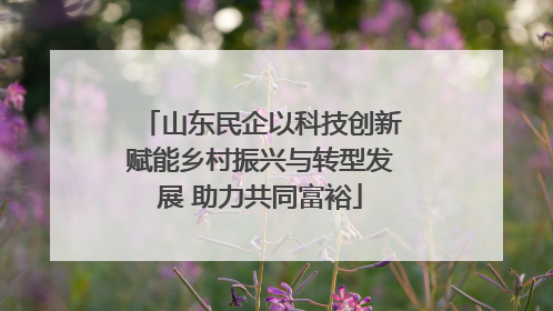 山东民企以科技创新赋能乡村振兴与转型发展 助力共同富裕