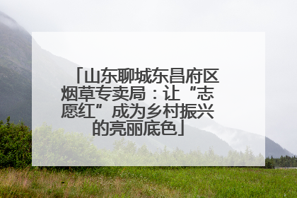 山东聊城东昌府区烟草专卖局：让“志愿红”成为乡村振兴的亮丽底色