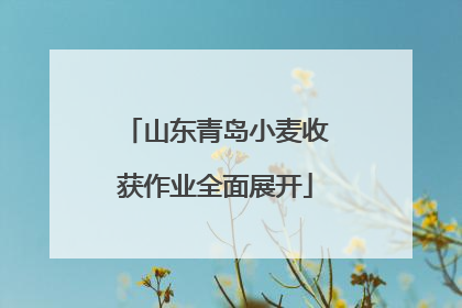山东青岛小麦收获作业全面展开