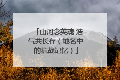山河念英魂 浩气共长存（地名中的抗战记忆）
