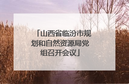 山西省临汾市规划和自然资源局党组召开会议