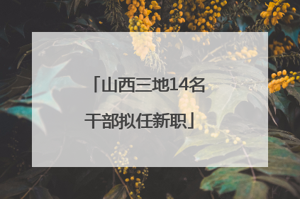 山西三地14名干部拟任新职