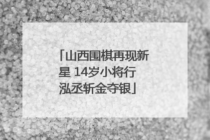 山西围棋再现新星 14岁小将行泓丞斩金夺银