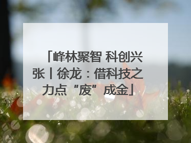 峰林聚智 科创兴张丨徐龙：借科技之力点“废”成金