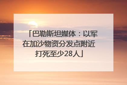巴勒斯坦媒体：以军在加沙物资分发点附近打死至少28人