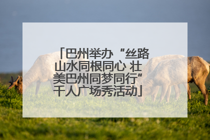 巴州举办“丝路山水同根同心 壮美巴州同梦同行”千人广场秀活动