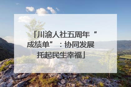川渝人社五周年“成绩单”：协同发展托起民生幸福