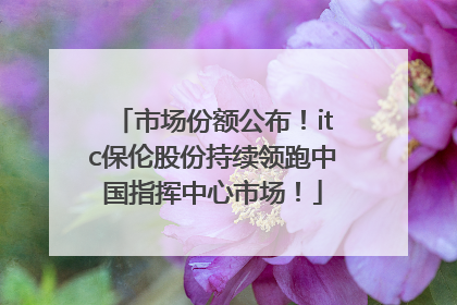 市场份额公布！itc保伦股份持续领跑中国指挥中心市场！