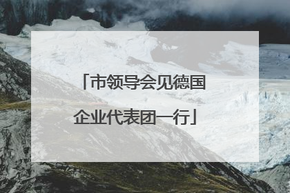 市领导会见德国企业代表团一行