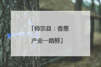 师宗县：香葱产业一路鲜