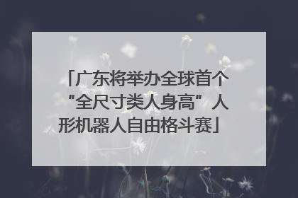 广东将举办全球首个“全尺寸类人身高”人形机器人自由格斗赛