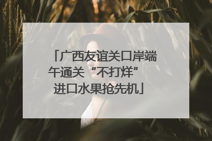 广西友谊关口岸端午通关“不打烊” 进口水果抢先机