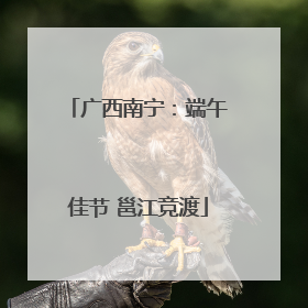 广西南宁：端午佳节 邕江竞渡