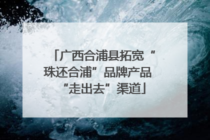 广西合浦县拓宽“珠还合浦”品牌产品“走出去”渠道