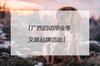 广西启动毕业季文旅品牌活动