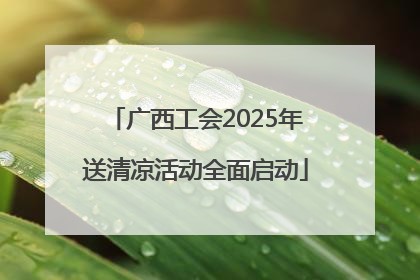 广西工会2025年送清凉活动全面启动
