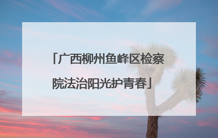 广西柳州鱼峰区检察院法治阳光护青春