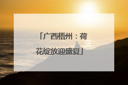 广西梧州：荷花绽放迎盛夏