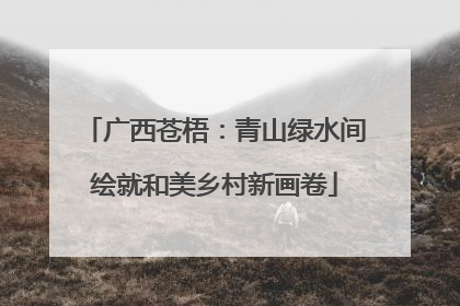 广西苍梧：青山绿水间绘就和美乡村新画卷