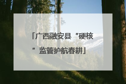 广西融安县“硬核”监管护航春耕