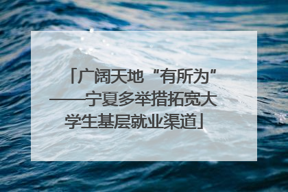 广阔天地“有所为”——宁夏多举措拓宽大学生基层就业渠道