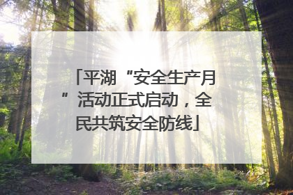 平湖“安全生产月”活动正式启动，全民共筑安全防线