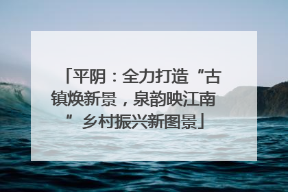 平阴：全力打造“古镇焕新景，泉韵映江南”乡村振兴新图景