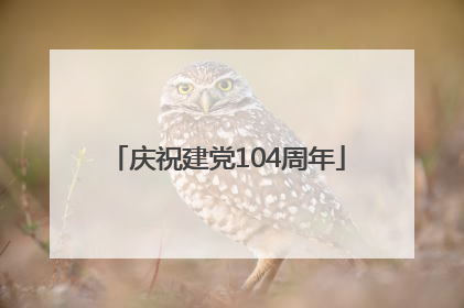 庆祝建党104周年