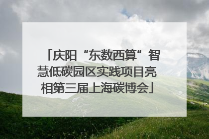 庆阳“东数西算”智慧低碳园区实践项目亮相第三届上海碳博会