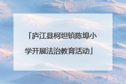 庐江县柯坦镇陈埠小学开展法治教育活动