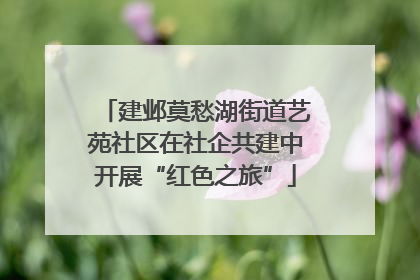 建邺莫愁湖街道艺苑社区在社企共建中开展“红色之旅”