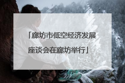 廊坊市低空经济发展座谈会在廊坊举行