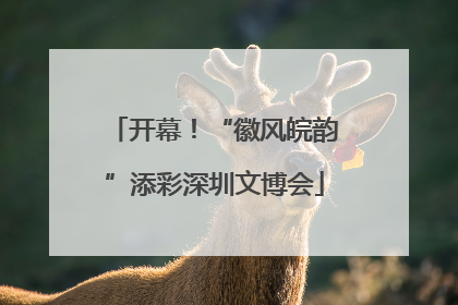开幕！“徽风皖韵”添彩深圳文博会