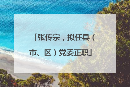 张传宗，拟任县（市、区）党委正职