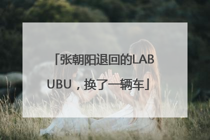 张朝阳退回的LABUBU，换了一辆车