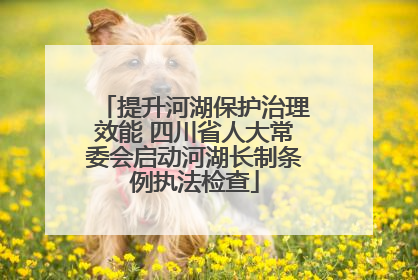 提升河湖保护治理效能 四川省人大常委会启动河湖长制条例执法检查