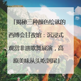 揭秘三种颜色绘就的西博会甘孜馆：沉浸式观赏非遗歌舞展演，高原美味从头吃到尾