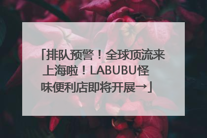 排队预警！全球顶流来上海啦！LABUBU怪味便利店即将开展→