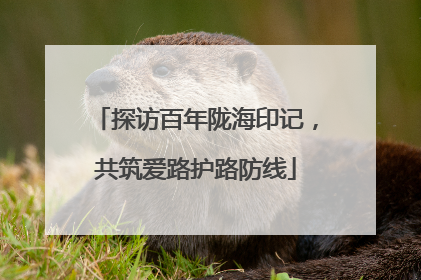 探访百年陇海印记，共筑爱路护路防线
