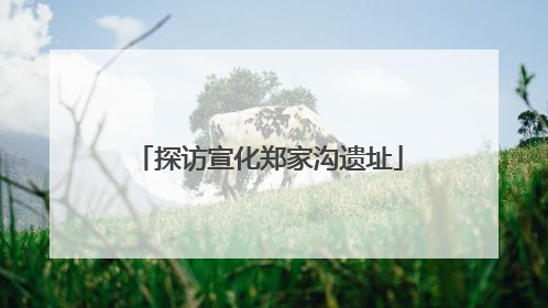 探访宣化郑家沟遗址