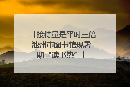 接待量是平时三倍 池州市图书馆现暑期“读书热”
