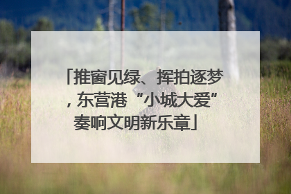 推窗见绿、挥拍逐梦，东营港“小城大爱”奏响文明新乐章