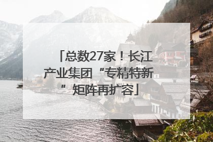 总数27家！长江产业集团“专精特新”矩阵再扩容