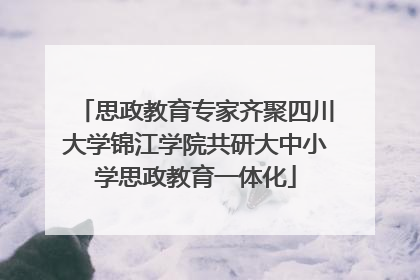思政教育专家齐聚四川大学锦江学院共研大中小学思政教育一体化