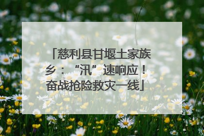 慈利县甘堰土家族乡：“汛”速响应！奋战抢险救灾一线