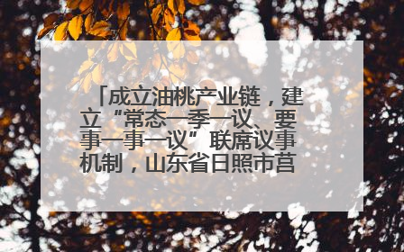 成立油桃产业链，建立“常态一季一议、要事一事一议”联席议事机制，山东省日照市莒县果庄镇——13个党小组“全周期”育果