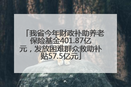 我省今年财政补助养老保险基金401.87亿元，发放困难群众救助补贴57.5亿元