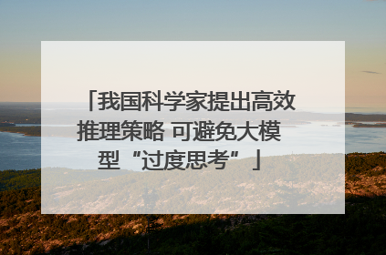 我国科学家提出高效推理策略 可避免大模型“过度思考”